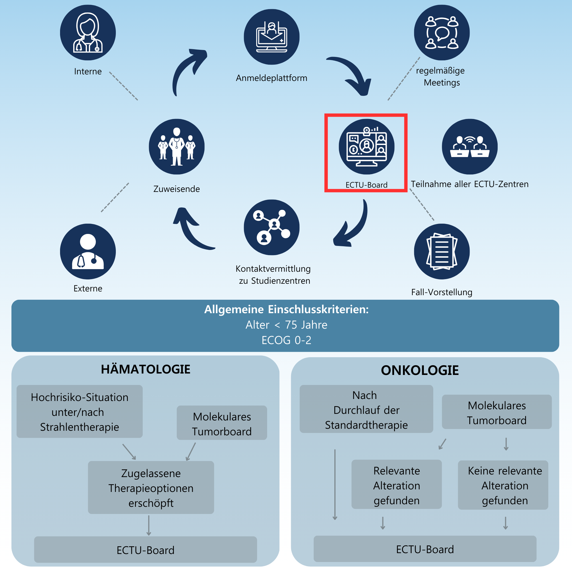 Das Bild zeig den Ablauf des ECTU-Tumoarboards.