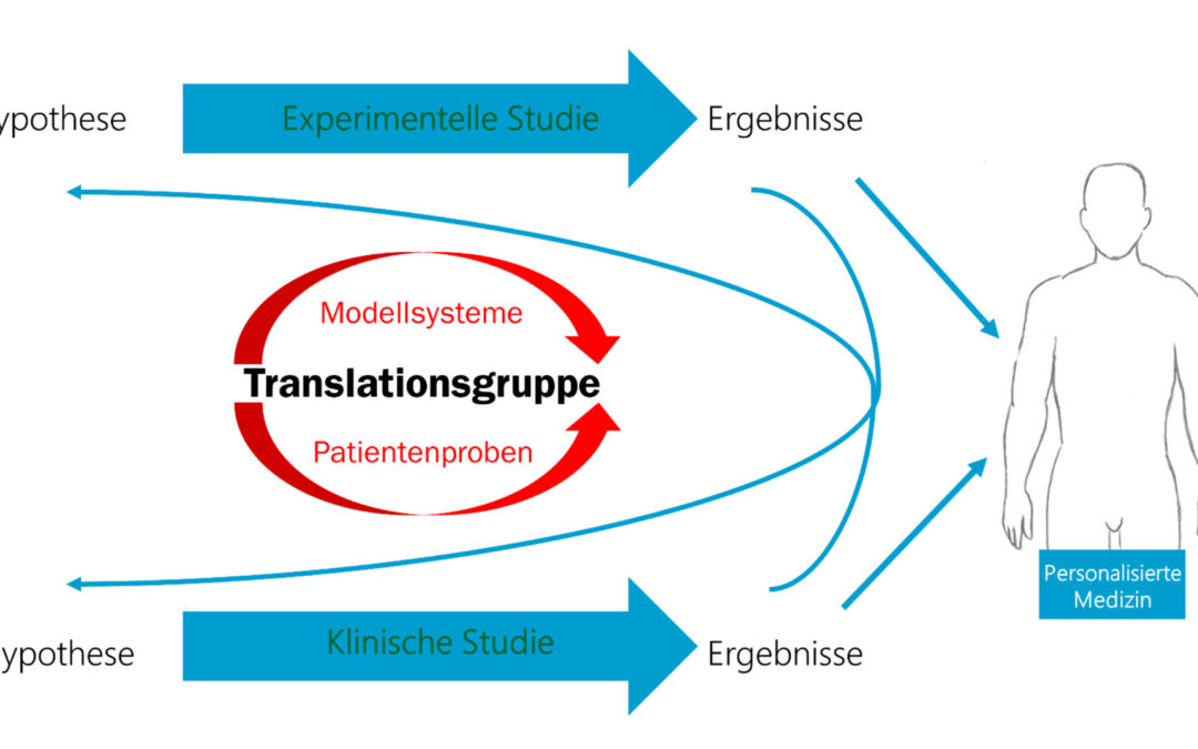 Translation groups