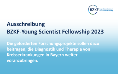 BZKF-Young Scientist Fellowship 2023